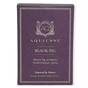 Aquiesse Luxury Scented Candle Black Fig Inspired by Nature, 6.5 oz