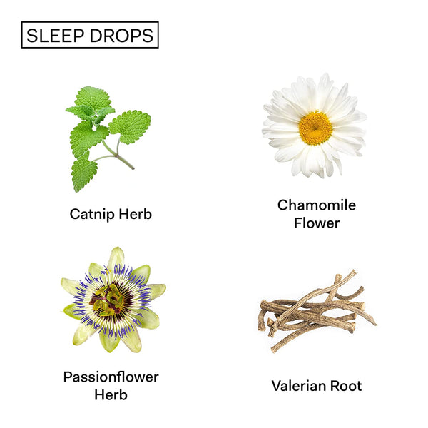 The Nue Co Sleep Drops. Herbal Supplement. 1 Fl Oz